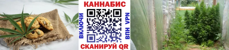 Cannafood конопля  Купить где  Волчанск 