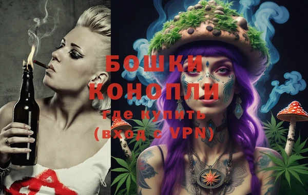 кристаллы Гусь-Хрустальный