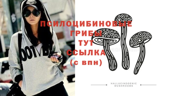 соль ск Гусев
