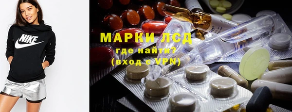 соль ск Гусев